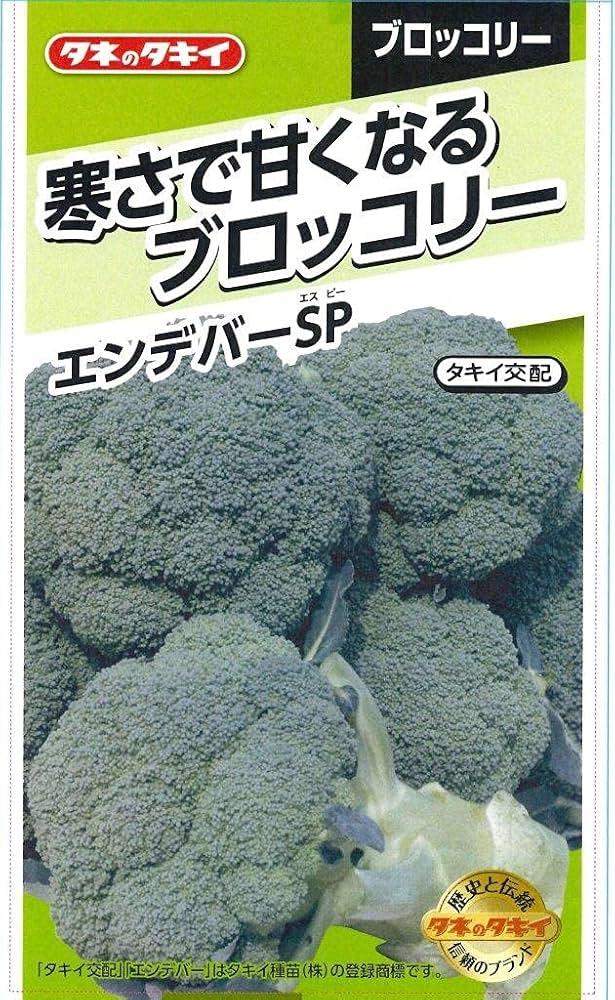 タキイ交配　ブロッコリー　エンデバーSP　ペレットL5000粒 エンデバーSP（タキイ種苗） - 株式会社丹種苗園